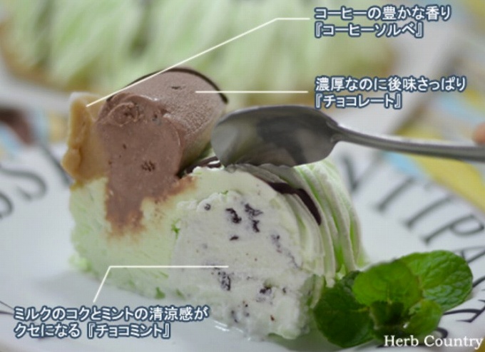 アイス サンファーム乳業 チョコミントアイスケーキ
